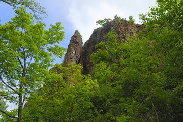 Natural monument 
