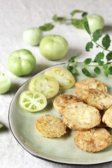 with fried green tomato. close-up. autumn dish. popular in America