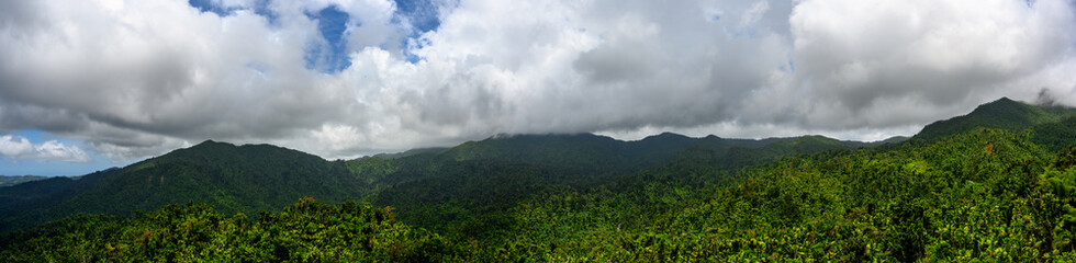 Panoramic of El Yunque National Forest, Puerto Rico