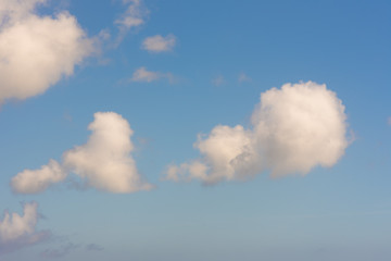 field and blue sky white clouds