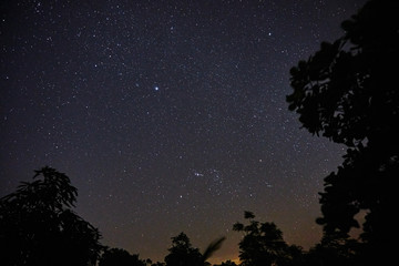 Fototapeta na wymiar Starry night with a natural trees frame, Feira de Santana, Bahia, Brazil
