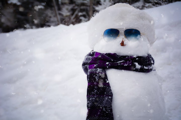 Snowman with a cap and a scarf in winter.