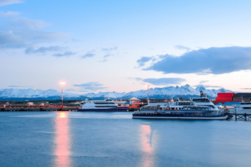 A view of Ushuaia and mountains in winter.