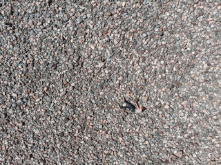 Aerial view of Katun stones riverbank, in Altai mountains, woman lying on the stones in beauty day.