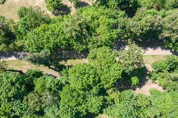 Fototapeta na wymiar summer park landscape with footpath among green trees. aerial top view