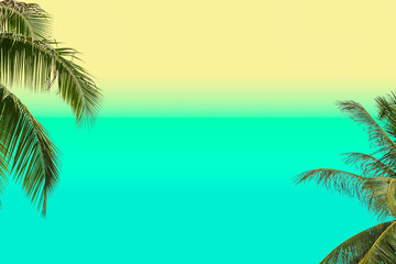 Fototapeta premium Tropical coconut palm leaves on pastel background for Summer concept and Spring lifestyle design with copy space.