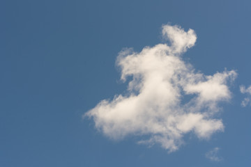 field and blue sky white clouds