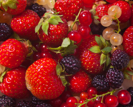 Mixed berries as background. Blackberries, red and white currant, strawberry texture pattern