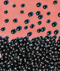 Black currant berries macro photo. Top view. Black currant on pink background. Summer berries. Flat lay