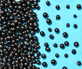 Black currant berries macro photo. Top view. Black currant on blue background. Summer berries. Flat lay