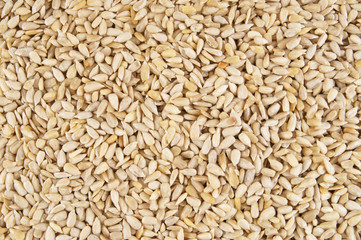 Sunflower seeds background