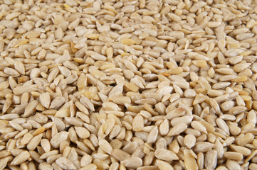 Sunflower seeds