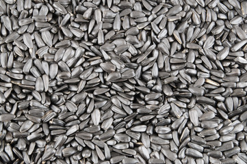 Sunflower seeds background