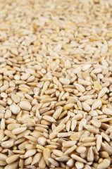 Raw sunflower seeds as background