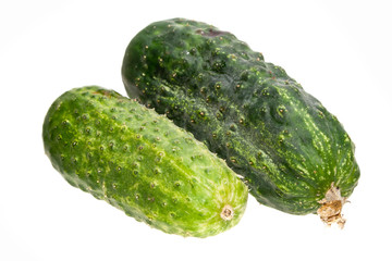 cucumber isolated on white background