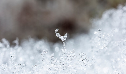 winter photo of snowflakes in the snow