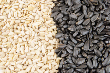 Sunflower seeds as background