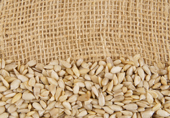 Sunflower seeds on burlap background