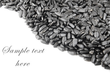 Sunflower seeds isolated on white with space for text