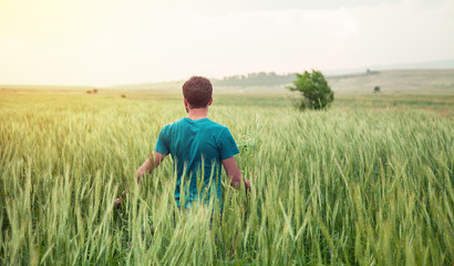 Naklejka na ściany i meble Young farmer standing in wheat field.
