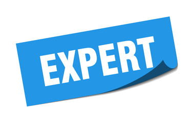 expert sticker. expert square isolated sign. expert
