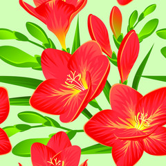 Vector pattern with blooming freesias and green buds