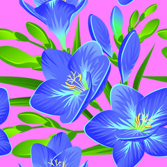Vector pattern with blooming freesias and green buds