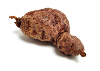 The Chinese medicine Polygonum multiflorum on white background