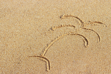 Fototapeta na wymiar Palm tree painted on sand, summer background, top view