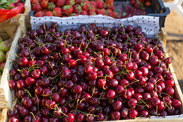 Fresh sweet cherry texture, wallpaper and background. Flat-lay of wet sweet cherries, top view. Summer food or local market produce concept