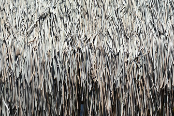 The texture of palm roof close up. Tropical background	