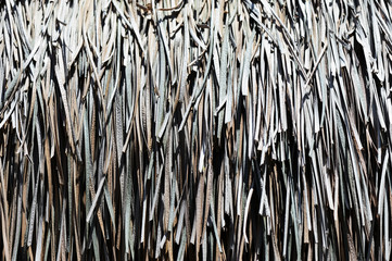 The texture of palm roof close up. Tropical background