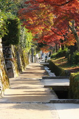 滋賀県大津市坂本の日吉大社への参道の脇道と穴太衆積みと紅葉