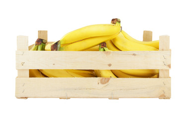 Ripe bananas in wooden box isolated on white background
