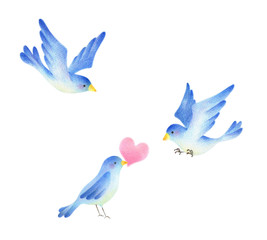 ３羽の青い鳥