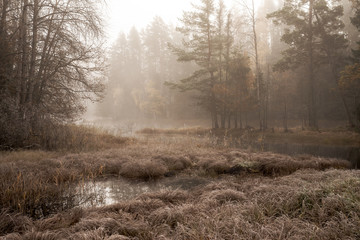 Obraz na płótnie Canvas River landscape in a foggy morning