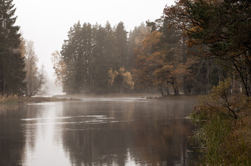River landscape in a foggy morning