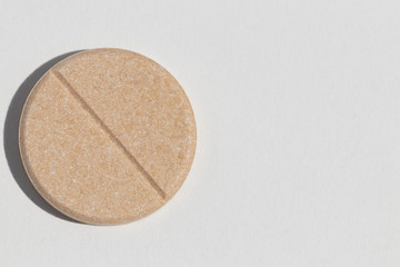 one large round plate for digestion on a white background