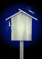 Retro wooden frame and two spiders