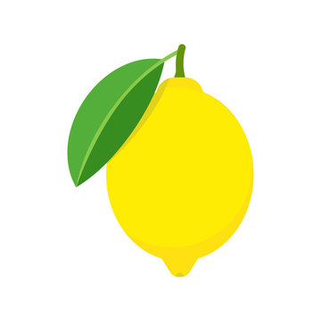 Fresh lemon fruits isolated on white background. Vector illustration.