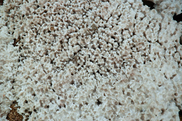 Curious orography with Martian-looking terrain Barranco de la Sal, Albatera, Alicante, Spain