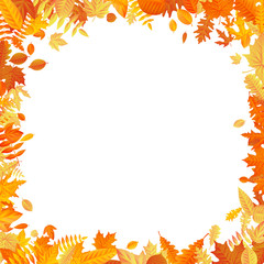 Naklejka na ściany i meble Frame with fall autumn colorful leaves on white background. Eps 10