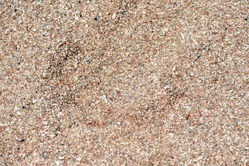 Sea coast sand texture close up. Natural background