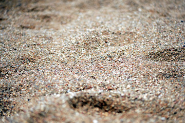 Sea coast sand texture close up. Natural background