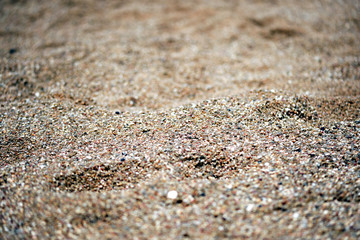 Sea coast sand texture close up. Natural background