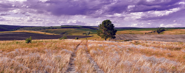 Central Russia agricultural countryside with hills and country road. Summer landscape of the Samara...