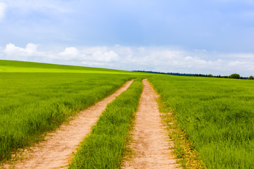 Rural road that goes through green meadows and fields. Sunny summer day