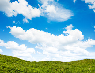 Green field and blue sky