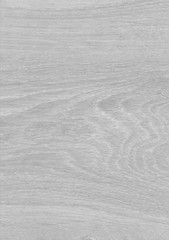 Fototapeta na wymiar Wood texture with natural pattern. Wood surface background in shades of grey