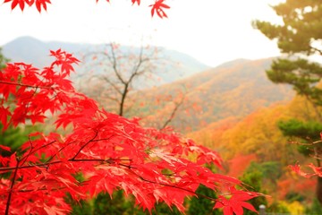 autumn in the mountains